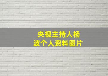 央视主持人杨波个人资料图片