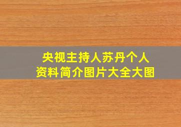 央视主持人苏丹个人资料简介图片大全大图