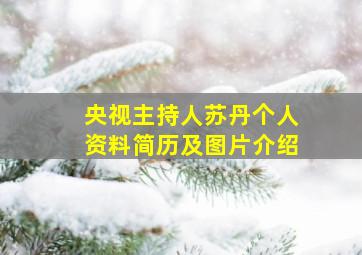 央视主持人苏丹个人资料简历及图片介绍