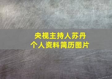 央视主持人苏丹个人资料简历图片