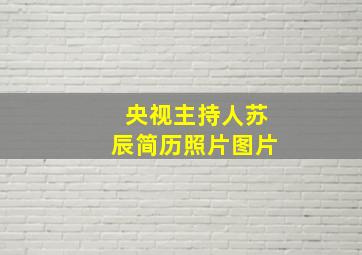 央视主持人苏辰简历照片图片