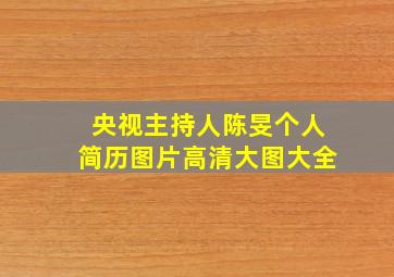 央视主持人陈旻个人简历图片高清大图大全