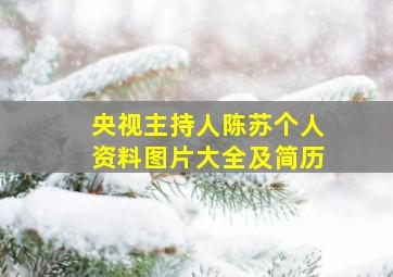 央视主持人陈苏个人资料图片大全及简历