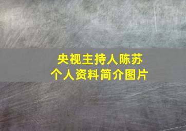 央视主持人陈苏个人资料简介图片