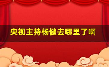 央视主持杨健去哪里了啊