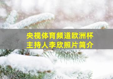 央视体育频道欧洲杯主持人李欣照片简介