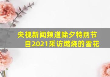 央视新闻频道除夕特别节目2021采访燃烧的雪花