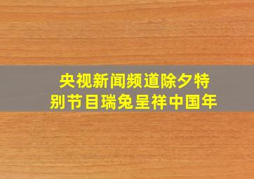 央视新闻频道除夕特别节目瑞兔呈祥中国年