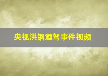 央视洪钢酒驾事件视频