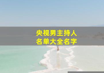 央视男主持人名单大全名字