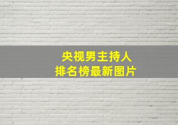 央视男主持人排名榜最新图片