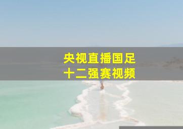 央视直播国足十二强赛视频