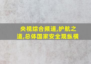 央视综合频道,护航之道,总体国家安全观纵横