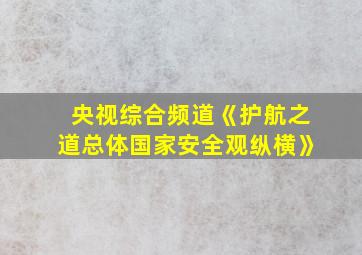 央视综合频道《护航之道总体国家安全观纵横》