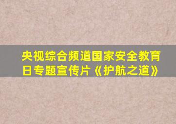 央视综合频道国家安全教育日专题宣传片《护航之道》