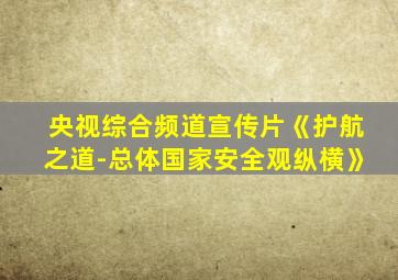 央视综合频道宣传片《护航之道-总体国家安全观纵横》