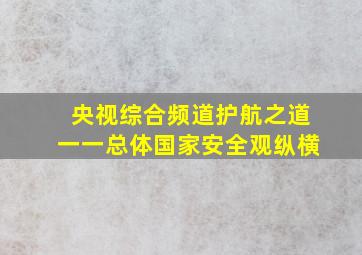 央视综合频道护航之道一一总体国家安全观纵横