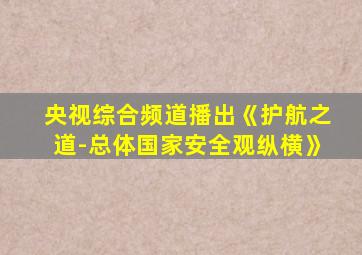 央视综合频道播出《护航之道-总体国家安全观纵横》