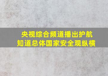 央视综合频道播出护航知道总体国家安全观纵横