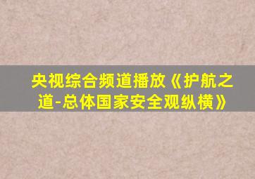 央视综合频道播放《护航之道-总体国家安全观纵横》