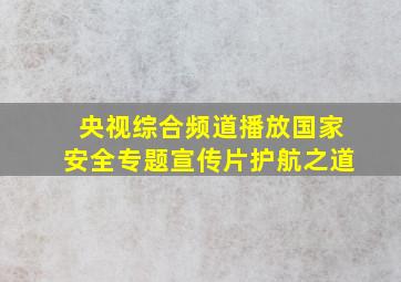 央视综合频道播放国家安全专题宣传片护航之道