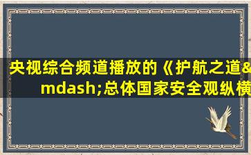 央视综合频道播放的《护航之道—总体国家安全观纵横》