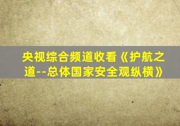 央视综合频道收看《护航之道--总体国家安全观纵横》