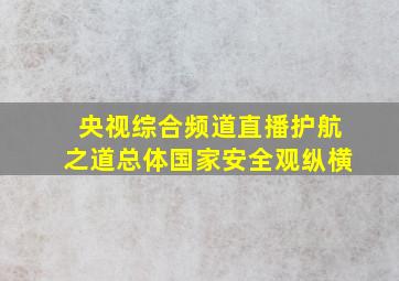 央视综合频道直播护航之道总体国家安全观纵横