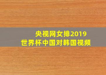 央视网女排2019世界杯中国对韩国视频