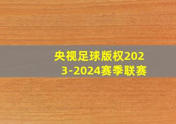 央视足球版权2023-2024赛季联赛