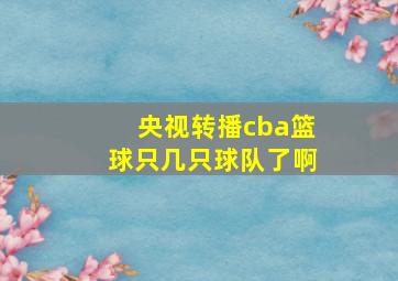 央视转播cba篮球只几只球队了啊