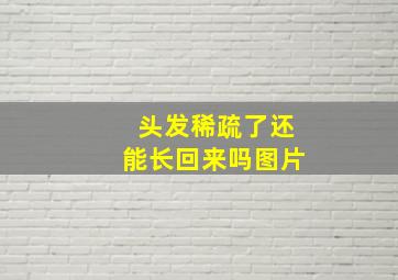 头发稀疏了还能长回来吗图片