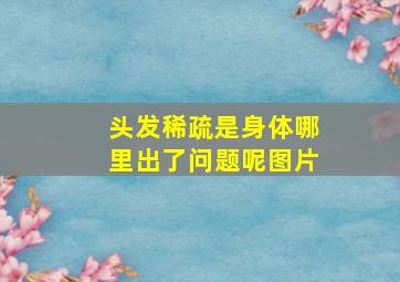 头发稀疏是身体哪里出了问题呢图片