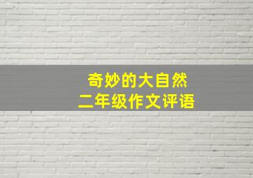 奇妙的大自然二年级作文评语