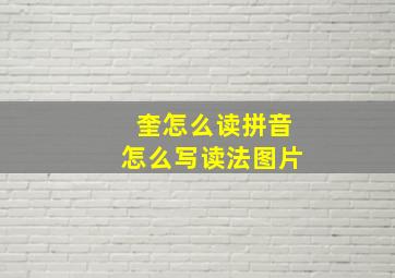 奎怎么读拼音怎么写读法图片