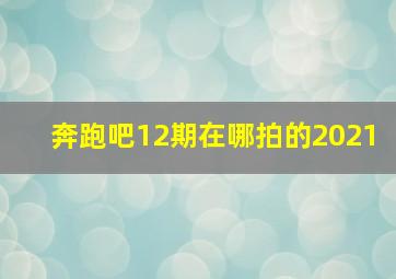 奔跑吧12期在哪拍的2021