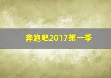 奔跑吧2017第一季