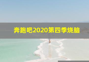 奔跑吧2020第四季烧脑