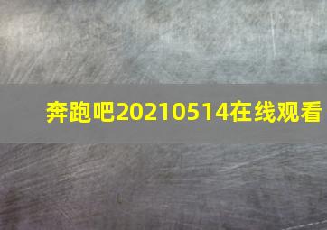 奔跑吧20210514在线观看