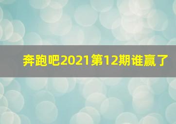 奔跑吧2021第12期谁赢了