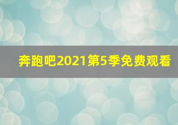 奔跑吧2021第5季免费观看