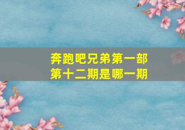 奔跑吧兄弟第一部第十二期是哪一期