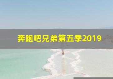 奔跑吧兄弟第五季2019