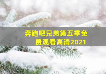 奔跑吧兄弟第五季免费观看高清2021