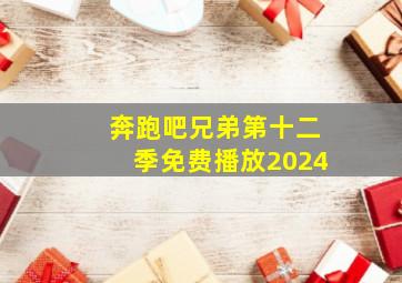 奔跑吧兄弟第十二季免费播放2024