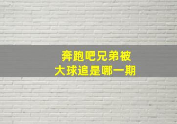 奔跑吧兄弟被大球追是哪一期