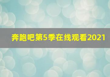 奔跑吧第5季在线观看2021