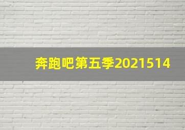 奔跑吧第五季2021514