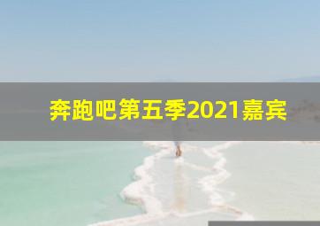 奔跑吧第五季2021嘉宾