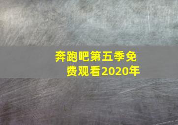 奔跑吧第五季免费观看2020年